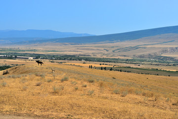 Obraz premium View of the mountains and valley, beautiful Georgian landscape
