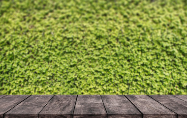 Wooden table or shelves with green leaves wall where you can place the show products an storage.