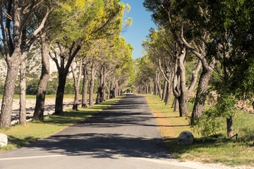 Allestraße in der Provence