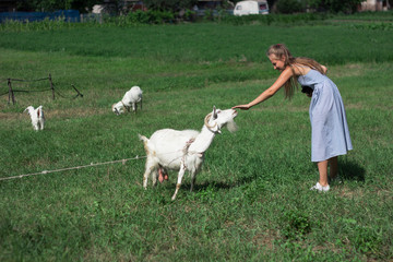 blond woman stroking a goat in a green meadow