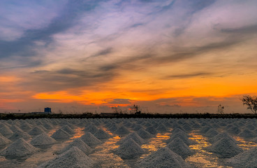 Salt farm in the morning with sunrise sky. Organic sea salt. Evaporation and crystallization of sea...