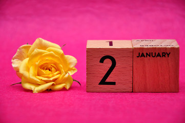 2 January on wooden blocks with a yellow rose on a pink background