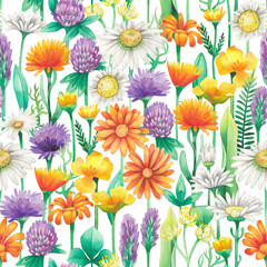 Watercolor seamless pattern of wild meadow flowers