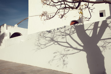 Old street with white Mediterranean walls with shadows of tree on it on the Ibiza island - Image