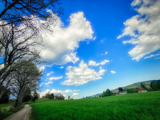 Chemin en bordure de champ sous un ciel bleu un peu nuageux