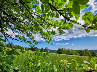 Vue d'un champ sous un ciel bleu avec des nuages