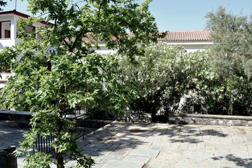 from an old Greek Monastery