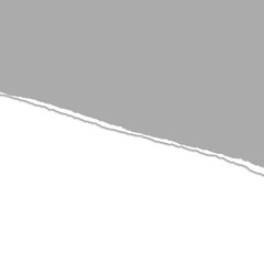 Gray Vector Ripped or Torn Paper Divider Background