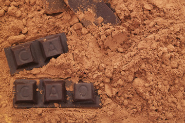 Chocolate bars with word CACAO  and cacao powder