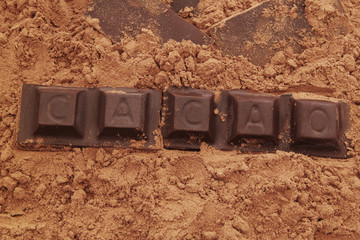 Chocolate bars with word CACAO on  cocoa powder 