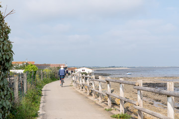 tourist riding bicycle on bike path to beach in Summer on island ile de Re France