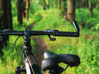 Fototapeta premium Bike on a beautiful forest road. The concept of active lifestyle and Cycling