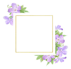 Frame of lilac watercolor geranium flowers isolated on white background. Perfect for logo, design, cosmetics design, package, textile