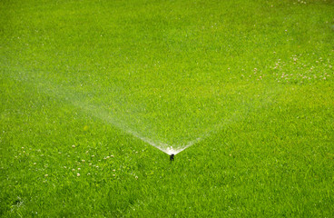 Watering, automatic sprinkler working on green grass.