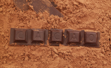 Chocolate bars with word CACAO on  cocoa powder 