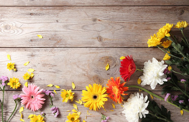 Colorful chrysanthemums placed on the table old wooden background