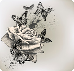 Background with rose and butterflies flying, hand drawing.Vector illustration. - 274852664