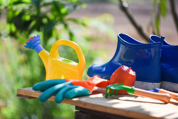 Gardening tools on wooden board with rubber boot garden gloves trowel equipment and watering can at...
