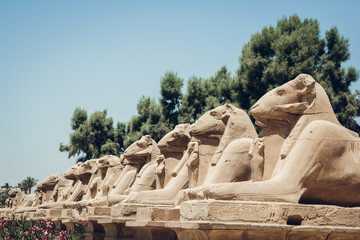 Statues of sphinxes with hieroglyphs in Karnak Temple at Luxor, Egypt