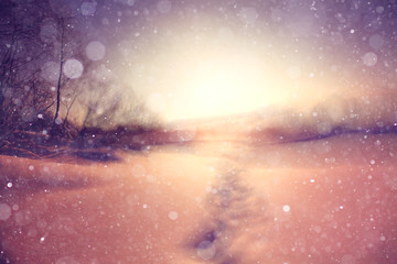 winter background blur forest snowflakes bokeh