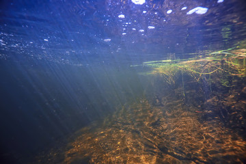 Fototapeta na wymiar underwater landscape transparent lake / fresh water ecosystem unusual landscape under water