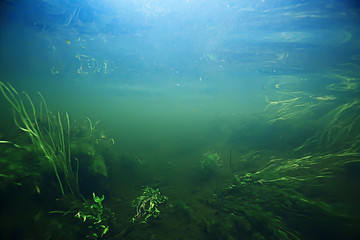 Fototapeta na wymiar underwater mountain clear river / underwater photo in a freshwater river, fast current, air bubbles by water, underwater ecosystem landscape