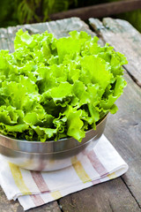 Fresh lettuce leaves in metal bowl on old wooden table
