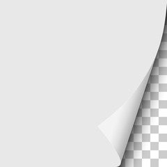 Sheet of white paper with curled lower right corner and transparent next page. Vector paper template.