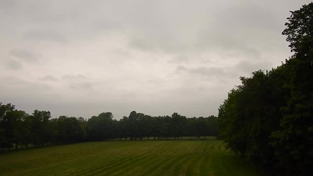 Rainy day, grey sky, cut hay field and trees in background