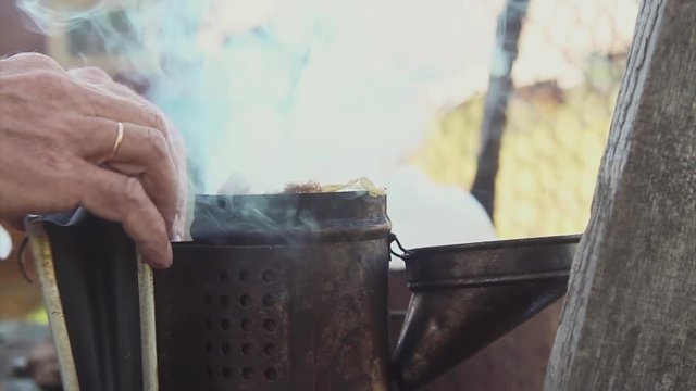 bee-maker beekeeper man working of a smoke pipe beeper smoker device for repelling lifestyle evil bees. slow motion video. apiary. beekeeping concept bee agriculture