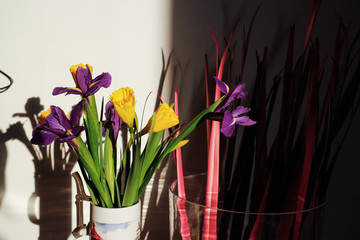 The colorful daffodils and irises.