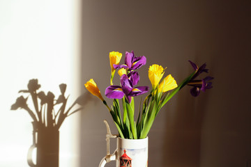 The colorful daffodils and irises.