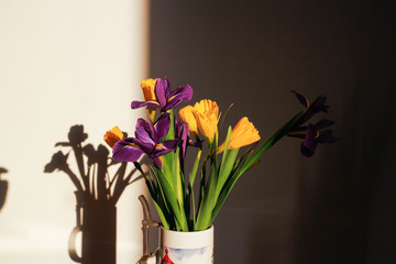 The colorful daffodils and irises.