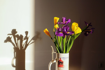 The colorful daffodils and irises.