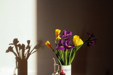 The colorful daffodils and irises.