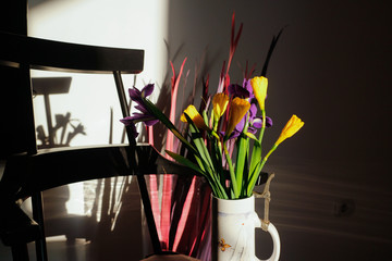 The colorful daffodils and irises.