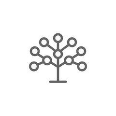 Phylogenetic, tree icon. Element of bio engineering illustration. Thin line icon for website design and development, app development. Premium icon