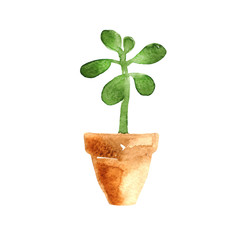 Ceramic pots with potted flowers in style watercolor. Design elements isolated on white background