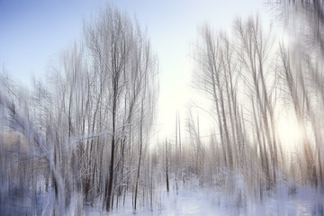 abstract forest blurred winter vertical lines / winter forest background, abstract landscape