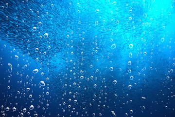 background underwater air bubbles reef / abstract sea background, diving, nature, ocean