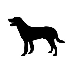 dog black flat icon. vector illustration logo. isolated on white background