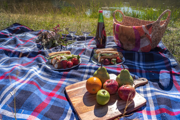 picnic in park sunny day  fruits sandwiches wine flower basket blanket