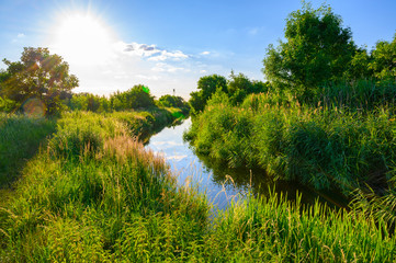 Blue sky over a little creek in the surrounding countryside of Berlin, Germany. - obrazy, fototapety, plakaty