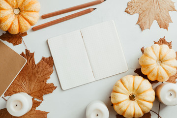Autumn flat lay with small pumpkins, fall maple leaves and blank paper notebook on a white...