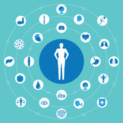 A seriers of organ in the body,Have a good health and health care with vector,illustration,icons present. 