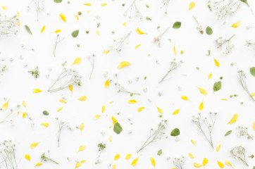 Decorative floral pattern