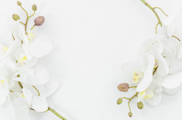 Obraz premium Decorative frame of flowers