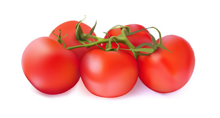 Set of red tomatoes on a white background. illustration