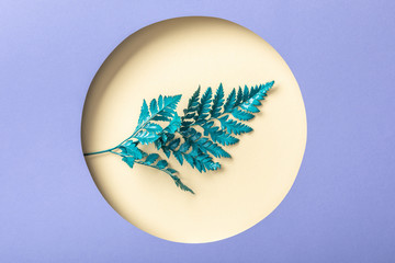 decorative fern leaf in round beige hole on purple paper