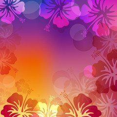 vector illustration background of hibiscus
